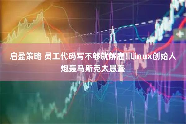 启盈策略 员工代码写不够就解雇! Linux创始人炮轰马斯克太愚蠢