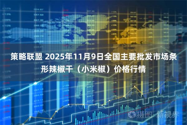 策略联盟 2025年11月9日全国主要批发市场条形辣椒干（小米椒）价格行情
